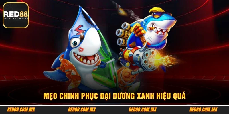 Mẹo chinh phục đại dương xanh hiệu quả